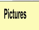 wp519a3dd5.png